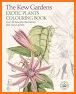 Coloring Book 4: Plants related image