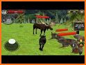 Wolf Family Simulator : RPG Wolf Attack related image