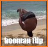 Human Flip related image