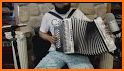 Hohner-BbEbAb Button Accordion related image