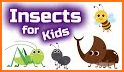 Insects and Bugs - Kids Learning Game related image