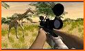 Wild Animals Hunting Safari Shooting Game related image