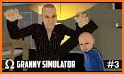 Granny Simulator - Ultimate related image