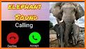 Animals Sound Ringtones Offline 2020 related image