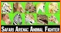 Safari Arena: Animal Fighter related image