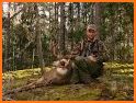 Blacktail Hunter related image