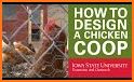 Chicken Coop Design related image