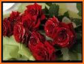 beautiful flowers & Rose gif related image