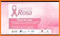 MODO ROSA related image