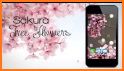 Sakura live wallpaper & moving background related image