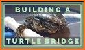 Turtle Bridge related image