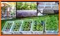 Planting calendar - vegetables related image