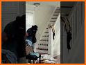 Serial Burglar related image