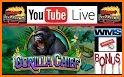 Slot Machine : Wild Gorilla related image