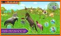 Horse Family Simulator 3D related image