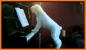 Toy Dog ​​Piano related image