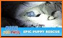 Save the puppy: Pet dog rescue related image