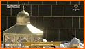 Makkah live related image