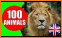 Animal Sounds - Animals for Kids, Learn Animals related image