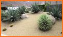 Desert Landscaping Ideas-Desert Design Landscape related image