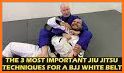 BJJ Fanatics related image