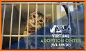 Virtual Animal Shelter Buddies related image