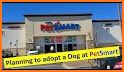 Pet Store-Buy and Sell Dog Cat related image