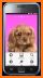 Puppy Rose Live Wallpaper related image