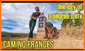 Camino Pilgrim - Frances related image