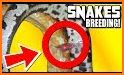 iBreeding Snakes related image