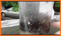 DIY Fly Trap related image