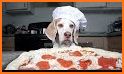 Italian Pizza Maker - Girl Chef Pizza related image