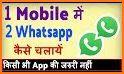 Whatsapp 2 related image