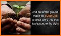 King James Bible (KJV) - Free Bible Verses + Audio related image