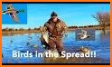 Wild Duck Hunting 2019 related image