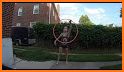 Hoopdance Designer related image