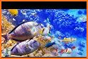 Coral Reef Wallpaper related image