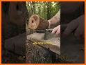 Bushcraft EN related image