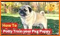 Pug Pad related image