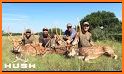 Grand Deer Hunting 2019 related image