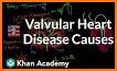 Valvular Heart Disease related image