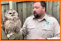 Barred Owl related image