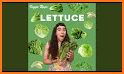 Lettuce KSJH6 related image