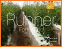 Runner F1 related image