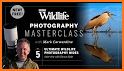 Wildlife Photographic Magazine related image