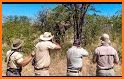 Safari Hunting: Wild Animal related image