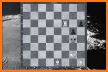 Mate in 2 (Chess Puzzles) related image