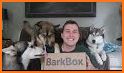 BISC: Alaskan Dog Sledding and Delivery Game related image