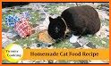 Cat food recipes – Homemade cat food related image