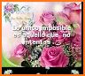 Rosas con Frases Bonitas related image